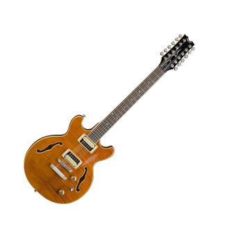 Dean Boca 12-String Electric Guitar