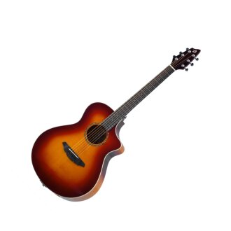 Breedlove Passport Plus C250/SFe Guitar