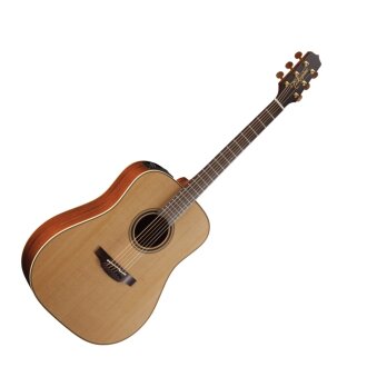 Takamine P3D Guitar (with Case)