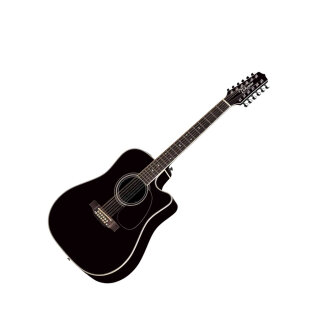 Takamine EF381SC 12-String Acoustic