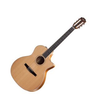 Taylor 414ce-N 2012 Fall LTD Classical