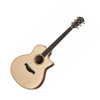 Taylor GSCE 2012 Fall LTD ED Acoustic