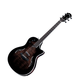 Taylor T5 Thinline Fiveway Maple