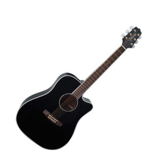 Takamine EG341SC Dreadnought Cutaway