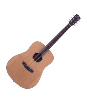 Breedlove Passport DSM Acoustic Guitar