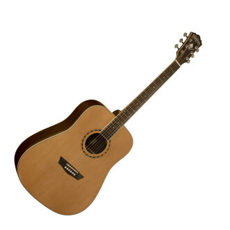 Washburn WD11S Acoustic Guitar