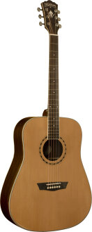 Washburn WD11S Acoustic Guitar