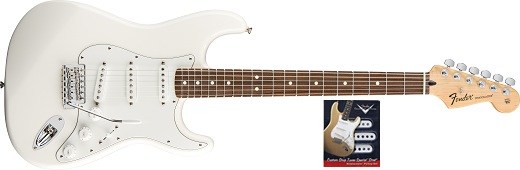 Fender Fender Standard Stratocaster Rosewood Electric Guitar and Texas Special Pickup Set - Arctic White