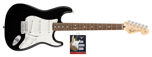 Fender Fender Standard Stratocaster Rosewood Electric Guitar and Texas Special Pickup Set - Black