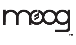 Moog Music Authorized Dealer