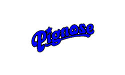 Pignose Authorized Dealer