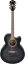 Transparent Black Sunburst