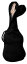 Gig Bag