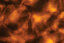 FX2