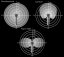 Polar Patterns