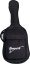 Gig bag