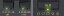 Status Indication