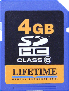 Lifetime Memory Lifetime Memory SD Secure Digital Card (4 GB)